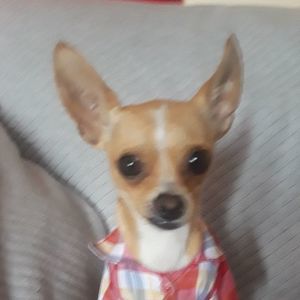 Meet your Posher, Enrique